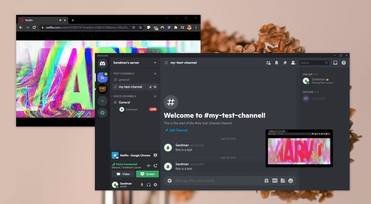 How to Stream Netflix on Discord